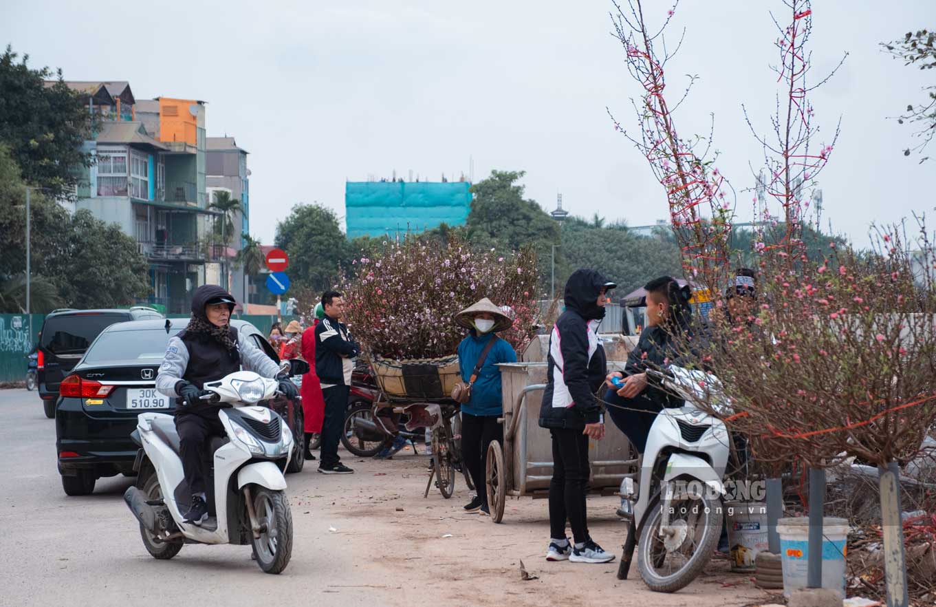 Với những người có nhu cầu mua đào sẽ tìm đến khu vực chợ hoa Quảng Bá.