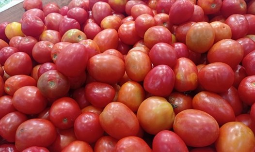 Mối liên hệ giữa cà chua và axit uric. Ảnh minh họa: Doãn Hằng