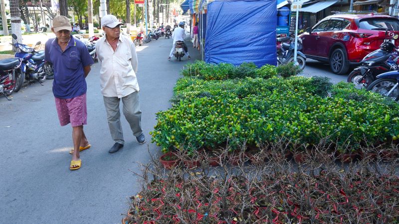 Theo khảo sát của phóng viên, đến thời điểm hiện tại thì sức mua của người dân còn rất là kém chủ yếu là đi xem và tham khảo giá cả.