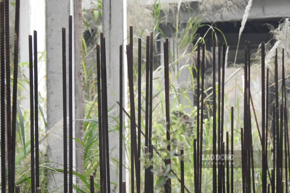 Lý do là vì Công ty cổ phần Tập đoàn FLC - nhà đầu tư của dự án gặp một số khó khăn, vướng mắc trong quá trình triển khai thực hiện. Ảnh: Tô Công.