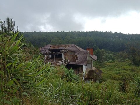 Hàng loạt căn biệt thự “ma” tọa lạc ở Khu du lịch quốc gia hồ Tuyền Lâm (Đà Lạt, Lâm Đồng). Ảnh: Nhiệt Băng