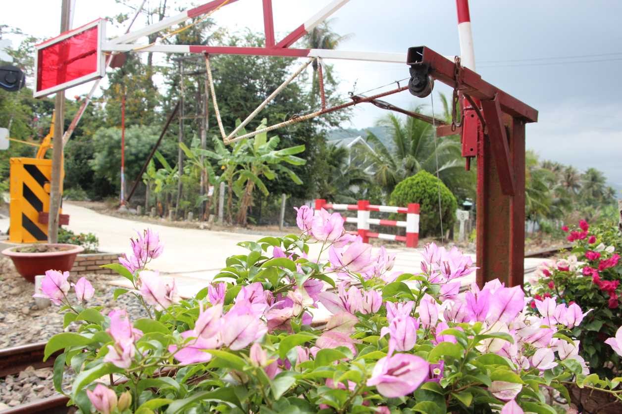 Các gác chắn ở Khánh Hòa được đoàn viên, người lao động ngành Đường sắt trồng hoa tạo điểm nhấn. Ảnh: Phương Linh