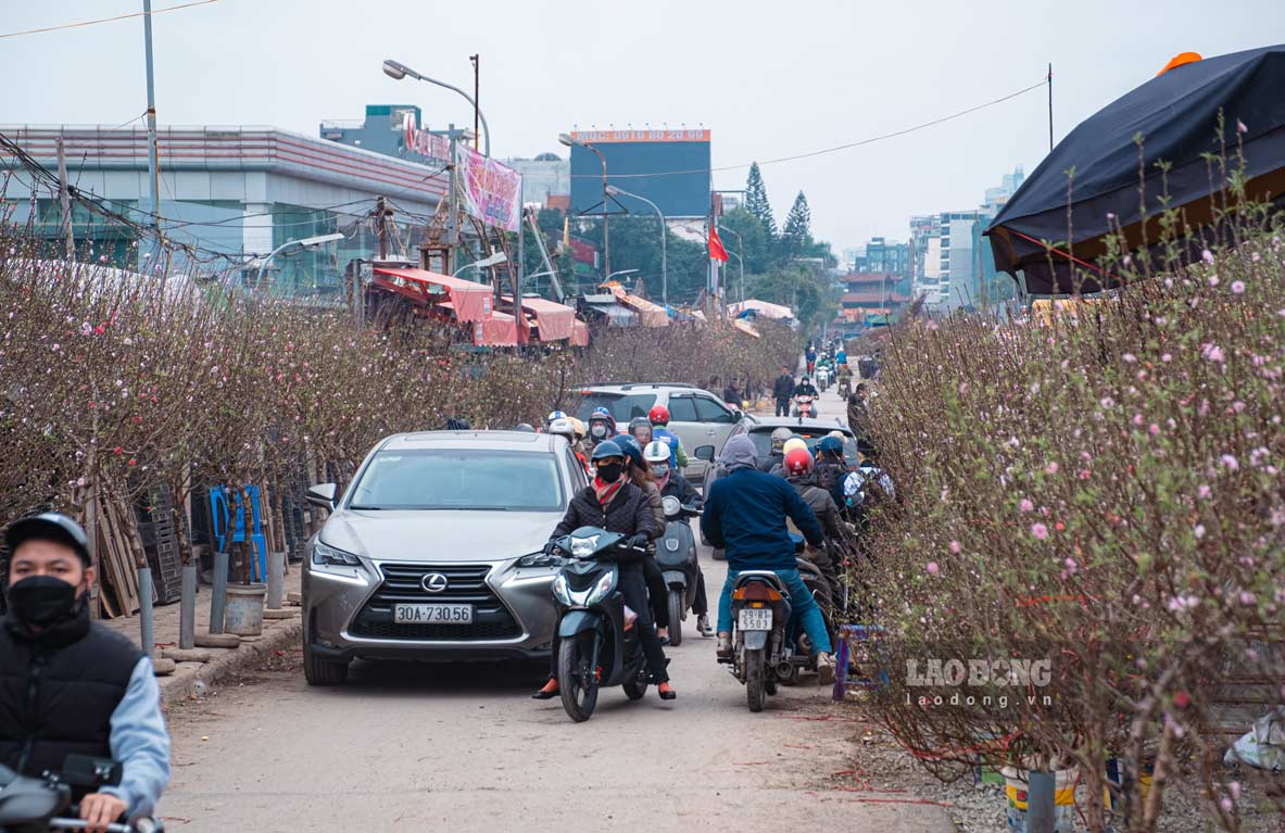Chỉ còn ít ngày nữa là đến Tết Nguyên đán Giáp Thìn. Ảnh: Hồng Diệp