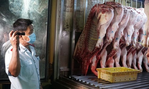 Lực lượng chức năng kiểm tra về truy xuất nguồn gốc mặt hàng thịt lợn tại chợ đầu mối. Ảnh: Thanh Chân