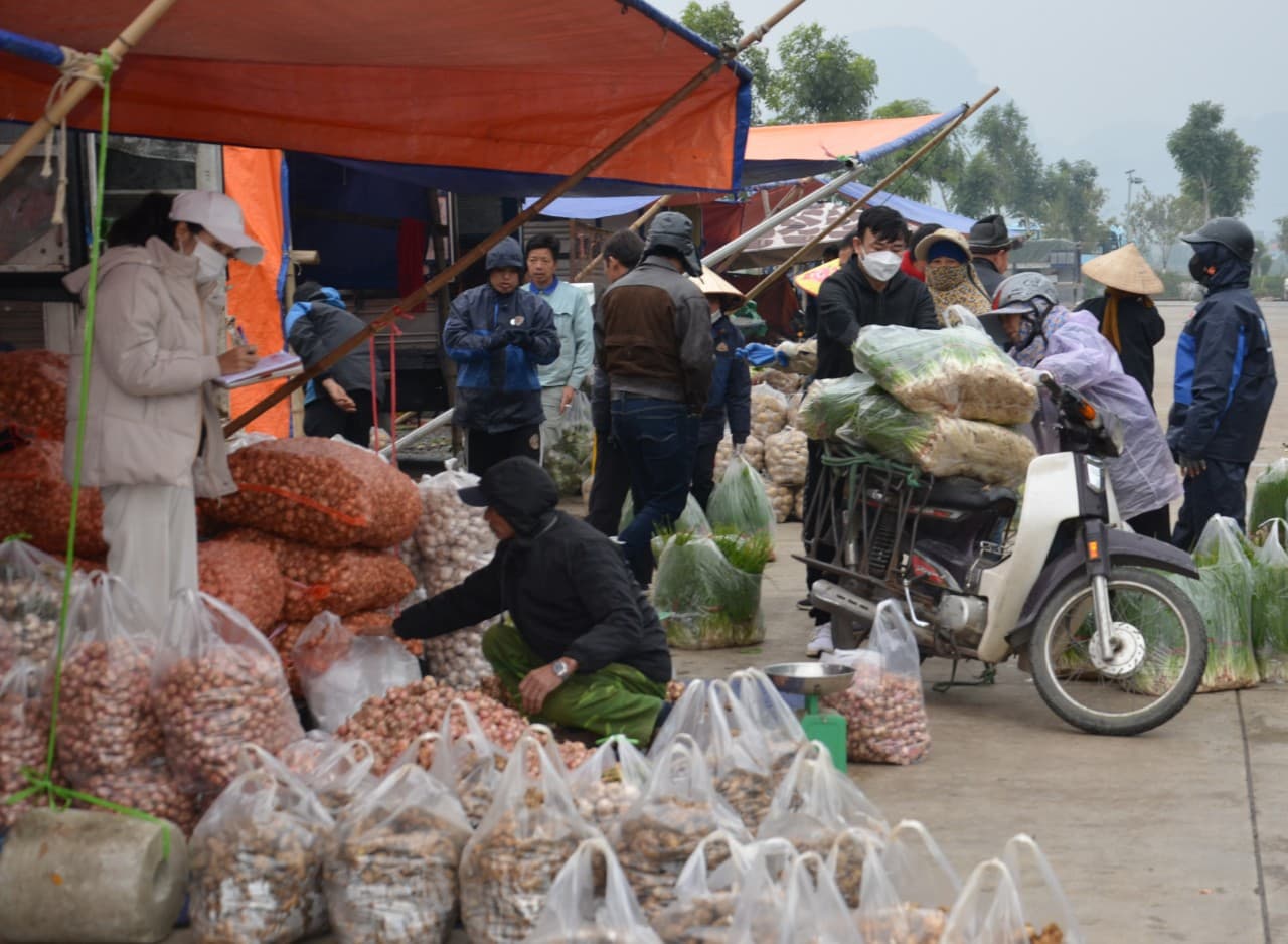 Bất chấp thời tiết giá rét, hàng trăm lao động tự do tại Chợ đầu mối tổng hợp thành phố Ninh Bình vẫn miệt mài mưu sinh. Ảnh: Nguyễn Trường