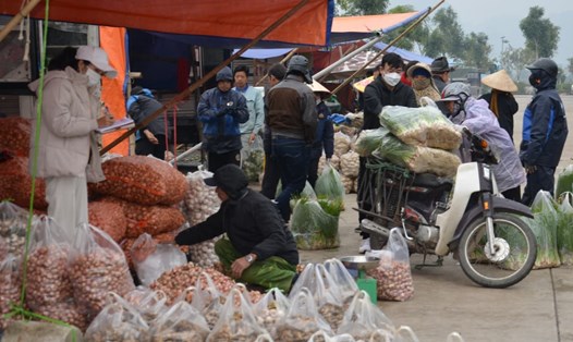 Bất chấp thời tiết giá rét, hàng trăm lao động tự do tại Chợ đầu mối tổng hợp thành phố Ninh Bình vẫn miệt mài mưu sinh. Ảnh: Nguyễn Trường
