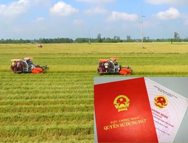 Dễ dàng chuyển đất nông nghiệp lên đất thổ cư theo Luật Đất đai mới