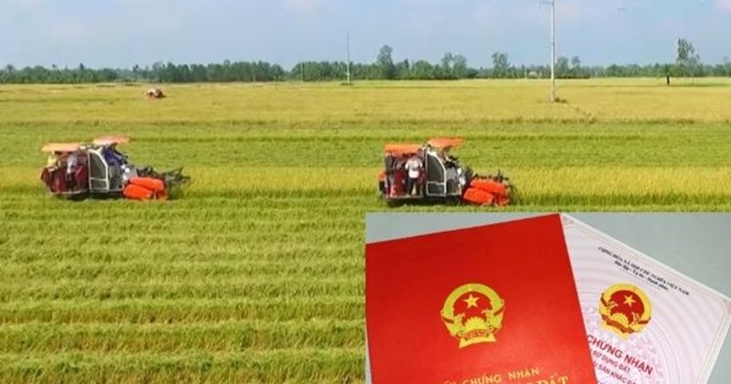 Dễ dàng chuyển đất nông nghiệp lên đất thổ cư theo Luật Đất đai mới