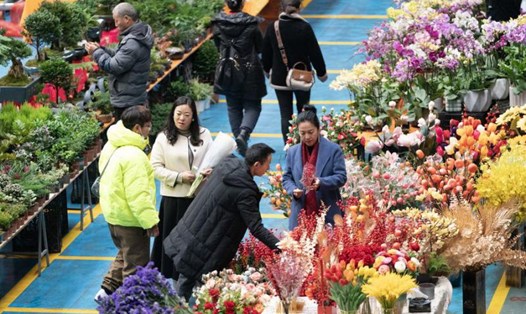 Chợ hoa Đẩu Nam ở Côn Minh, tỉnh Vân Nam phía Tây nam Trung Quốc. Ảnh: Xinhua