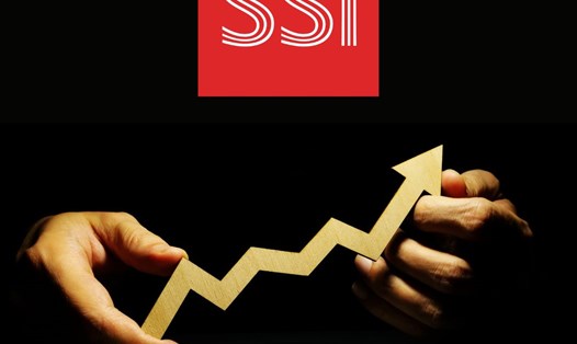 Dữ liệu từ báo cáo tài chính của SSI trong năm qua cho thấy lãi từ đầu tư tự doanh và cho vay margin vẫn chiếm tỷ trọng lớn trong cơ cấu doanh thu. Ảnh: Minh Ánh.