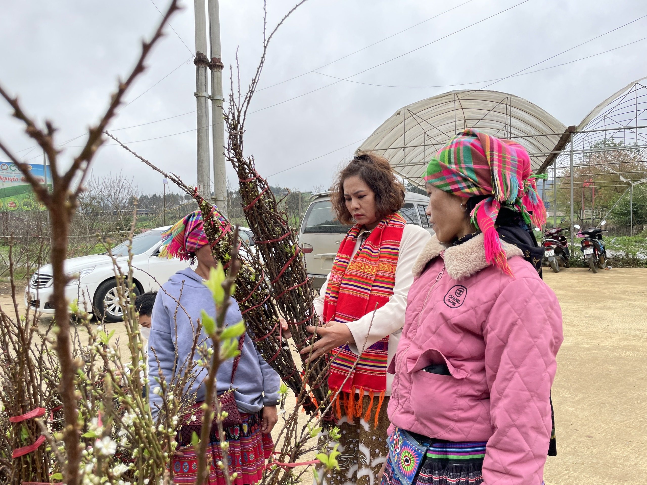 Du khách lựa chọn những bó đào, mận trưng Tết. Ảnh: Khánh Linh