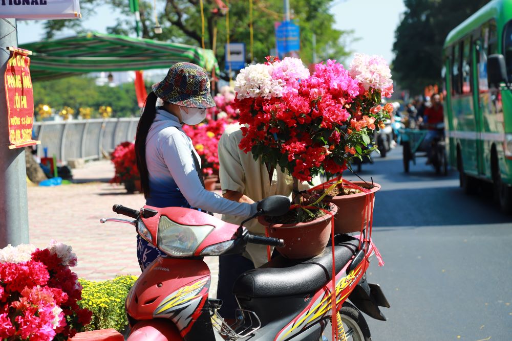   Nhiều người dân đi mua hoa sớm chọn được những chậu hoa ưng ý.