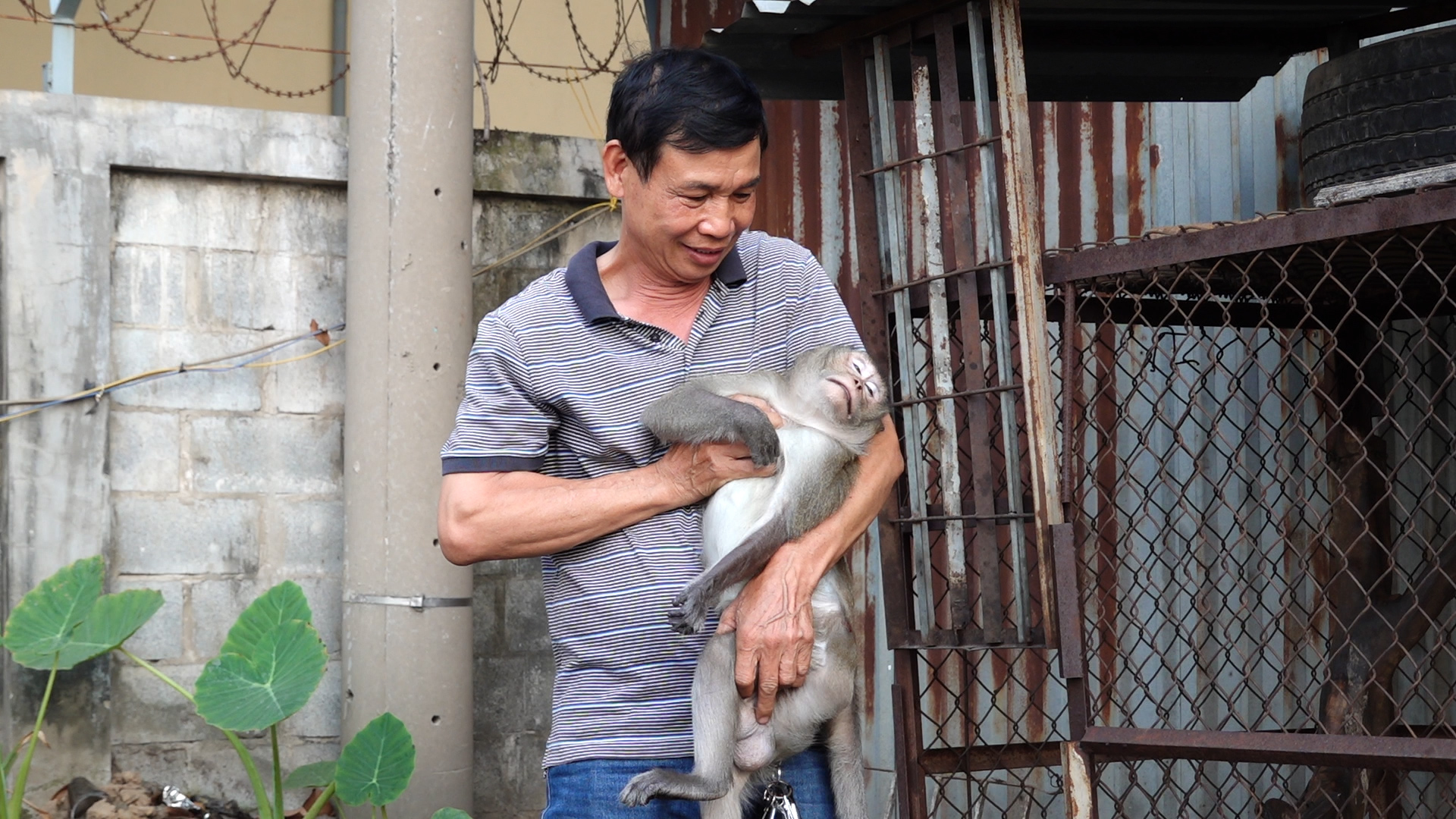 Ảnh: Cắt từ clip