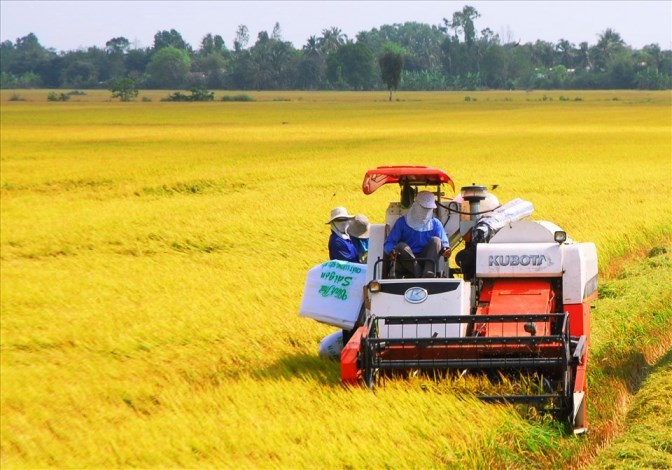 Thủ tướng đánh giá cao về sự chuyển biến mạnh mẽ của ngành nông nghiệp trong thời gian qua. Ảnh: Tân Long