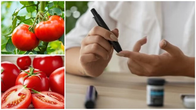 Lợi ích của cà chua đối với bệnh tiểu đường
