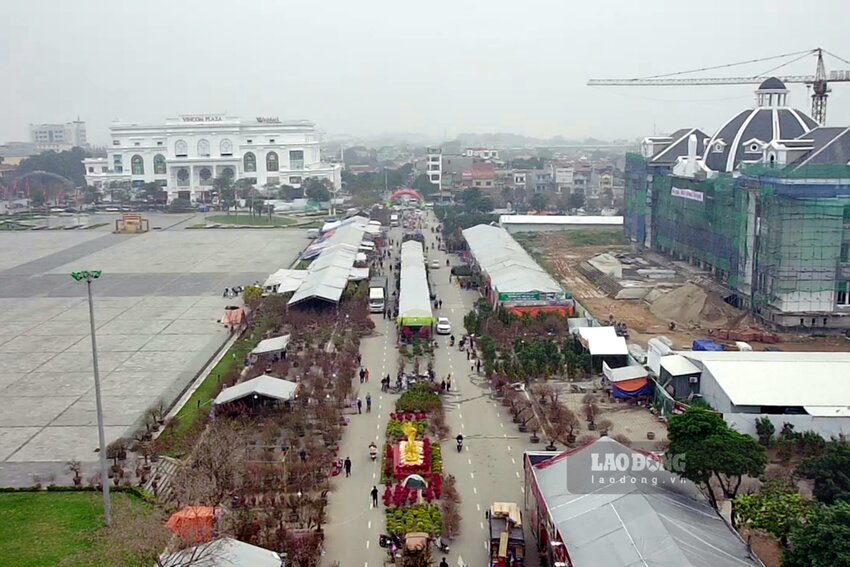 Chợ hoa Tết tại Quảng trường Hùng Vương được tổ chức thường niên mỗi khi Tết đến xuân về. Chợ hoa thanh niên năm 2024 được Trung tâm thanh thiếu nhi Hùng Vương tổ chức với quy mô như mọi năm, nhưng năm nay có thêm một số điểm đặc biệt đã thu hút nhiều người dân và du khách. Ảnh: Tô Công.