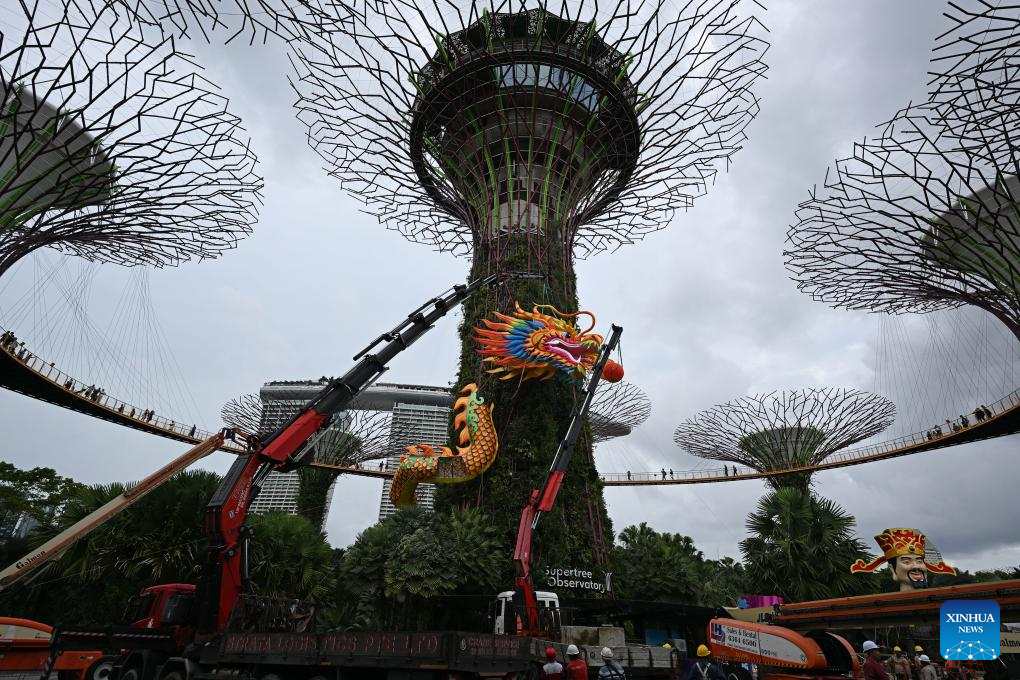 Công nhân lắp đặt hệ thống đèn hình con rồng để chào mừng Tết Nguyên đán Giáp Thìn tại Gardens by the Bay của Singapore. Ảnh: Xinhua