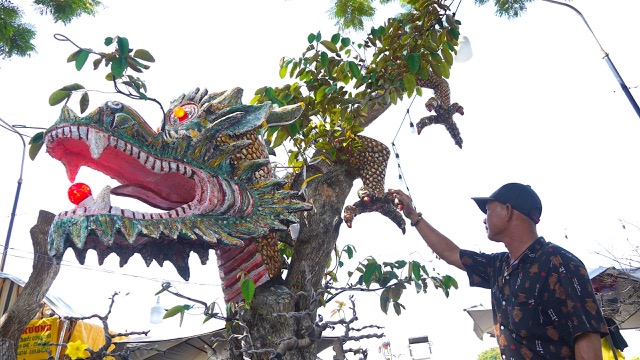 Tác phẩm “Vú sữa dáng long” với thân hình con rồng chào mừng năm mới Giáp Thìn 2024 tại An Giang. Ảnh: Tạ Quang