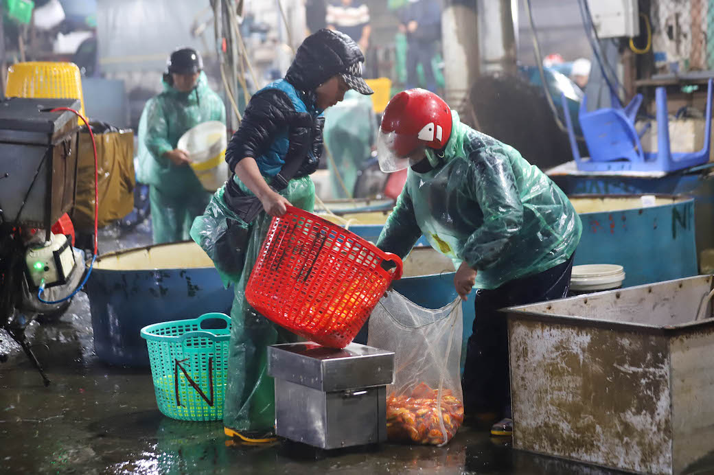 Nhiều tiểu thương tranh thủ lựa chọn cá vàng cho lễ ông Công ông Táo khi giá thành đang rẻ. Ảnh: Đền Phú 