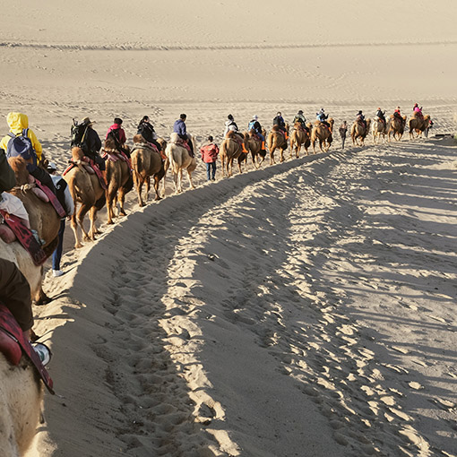 Đến sa mạc Minh Sa, blogger Tâm Bùi trải nghiệm cưỡi lạc đà. Cảm giác này tái hiện lại khung cảnh cách đây hàng trăm năm, những thương nhân Trung Hoa chuyên chở hàng hóa bằng lạc đà để băng qua sa mạc trên Con đường tơ lụa. Ảnh: Nhân vật cung cấp