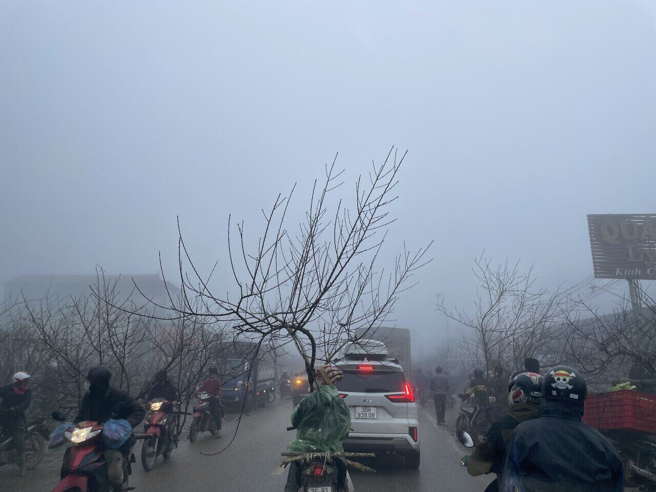 Những điểm bán đào dọc Quốc lộ 6, đoạn qua huyện Mộc Châu và Vân Hồ tỉnh Sơn La. Ảnh: Minh Nguyễn