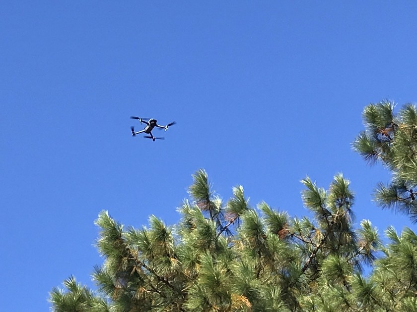 Ban Quản lý rừng Lâm Viên mới bắt đầu sử dụng thiết bị flycam do UBND TP Đà Lạt trang bị. Ảnh: Ninh Trịnh