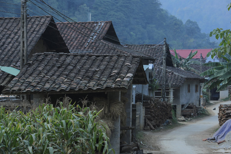 Gần như nhà nào trong xóm cũng lợp mái âm dương, còn gọi là ngói máng.