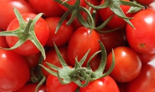 Bổ sung cà chua vào chế độ ăn với tỉ lệ hợp lý để phát huy tác dụng giảm mỡ máu và hỗ trợ kiểm soát đường huyết. Ảnh: Phạm My