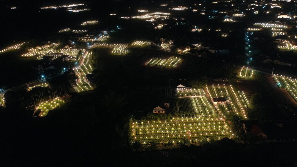 Ban đêm người trồng hoa cúc ở xã Nghĩa Hiệp chong đèn suốt đêm, để sưởi ấm cho hoa cúc. Ảnh: Ngọc Viên 