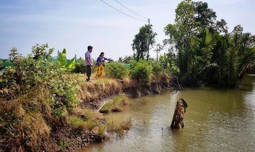 15 ha nuôi tôm của người dân ở huyện Cầu Ngang, tỉnh Trà Vinh có nguy cơ mất trắng vì sạt lở trọng. Ảnh: Hoàng Lộc