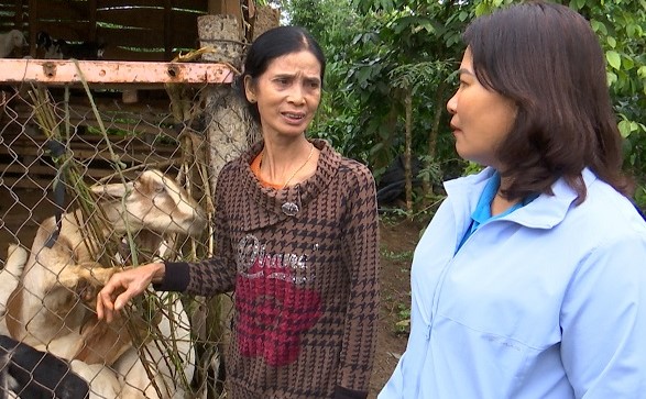 Một số hộ gia đình có hoàn cảnh khó khăn đã được vay vốn, phát triển kinh tế. Ảnh: Bảo Trung