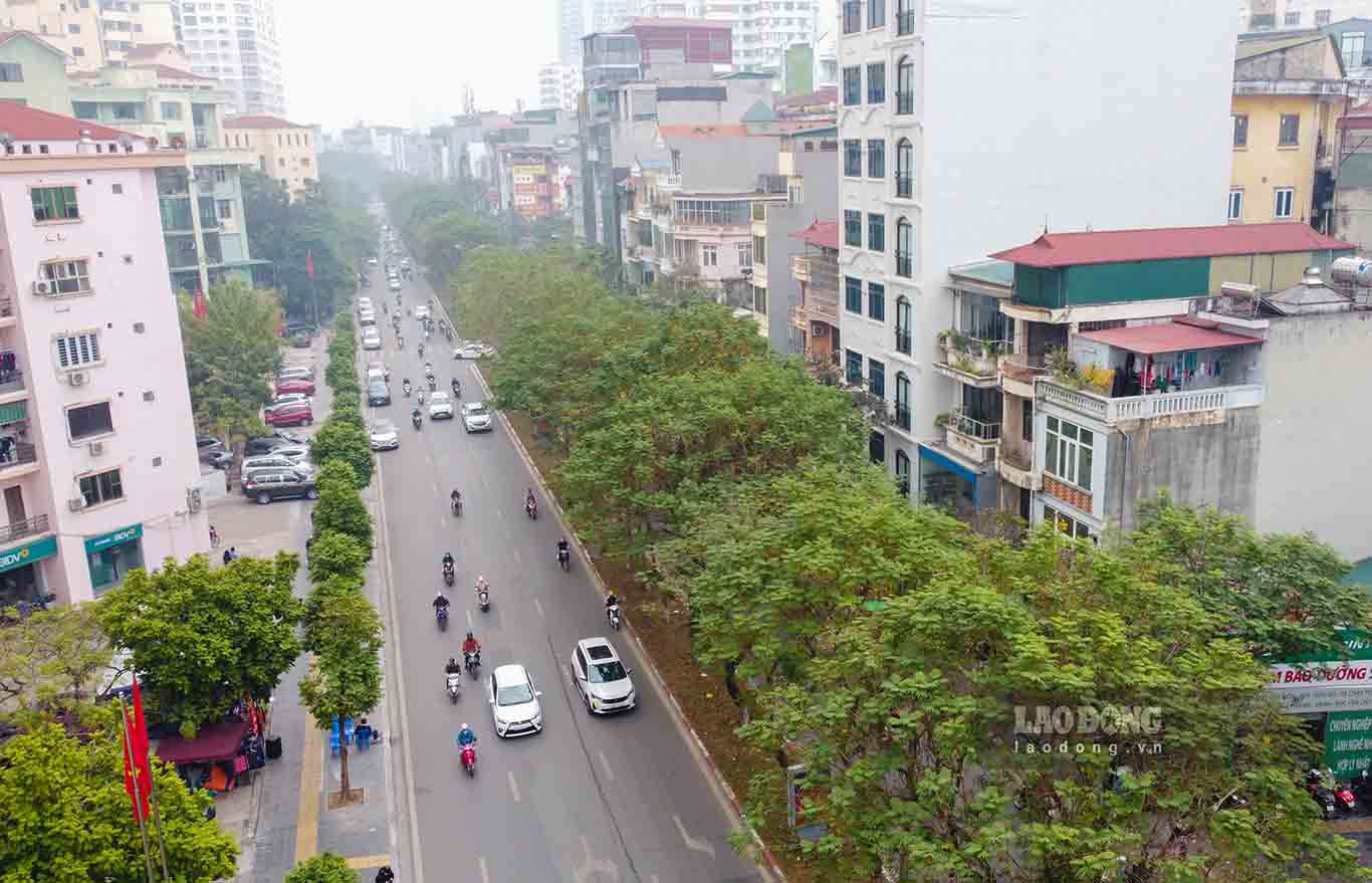 Sau khi hoàn thành việc mở rộng, đường Trần Đăng Ninh (hướng nút giao Chùa Hà đi nút giao Trần Đăng Ninh - Nguyễn Phong Sắc) trở nên thông thoáng hơn.