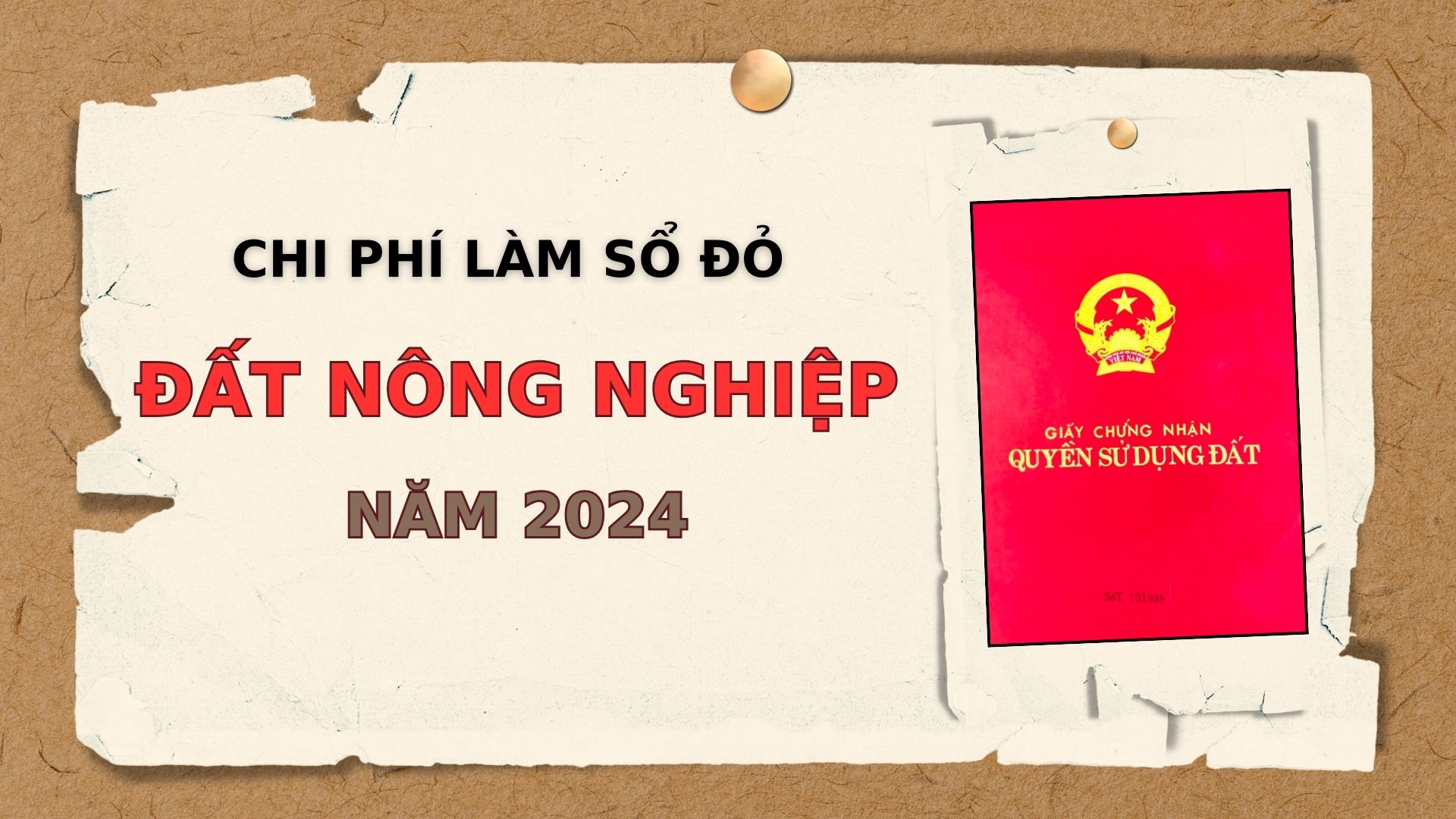 Đồ hoạ: Minh Quân