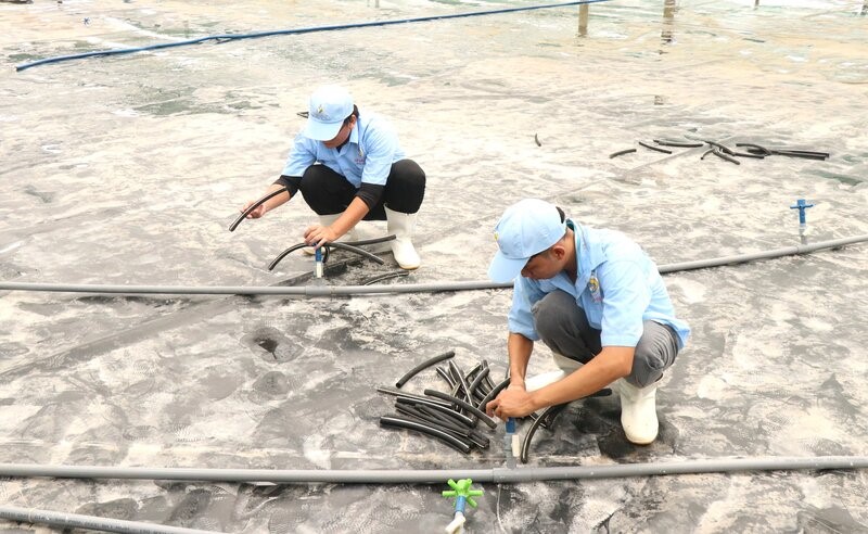 Người nuôi tôm theo mô hình siêu thâm canh mật độ cao tại Bạc Liêu vẫn chưa vội thả giống. Ảnh: Nhật Hồ