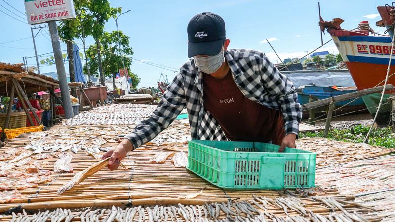 Làng cá khô Trần Đề (Sóc Trăng) đang vào mùa cao điểm nhất năm. Ảnh: Phương Anh