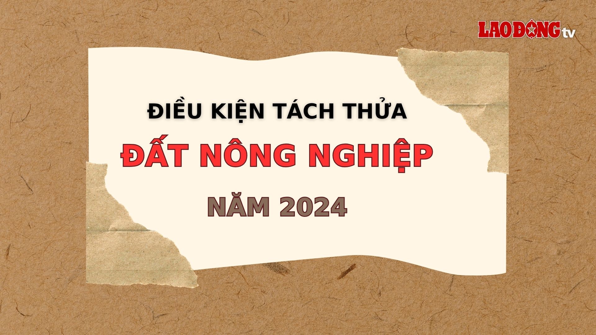 Đồ hoạ: Minh Quân