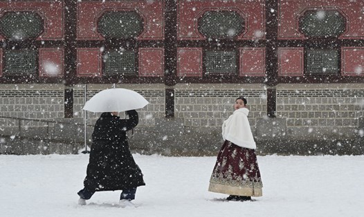Tuyết rơi ở Seoul, Hàn Quốc. Ảnh minh họa. Ảnh: AFP