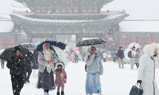 Người dân và du khách đi bộ trước cổng cung điện Gyeongbok, trung tâm thủ đô Seoul Hàn Quốc trong tiết trời tuyết rơi dày kỷ lục vào ngày cuối cùng năm 2023. Ảnh: Yonhap
