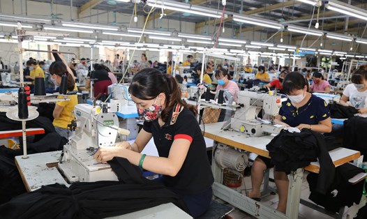 Năm 2024, tỉnh Ninh Bình đặt mục tiêu giải quyết việc làm cho trên 19.000 lao động. Ảnh: Nguyễn Trường