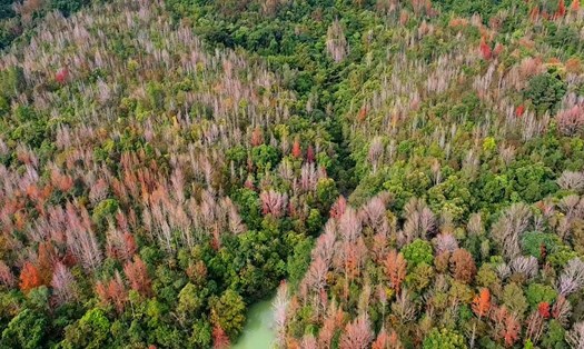 Ảnh: Nguyễn Ngọc Lân