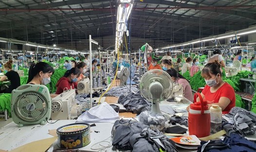 Năm 2024, Quảng Nam sẽ có hơn 1.600 doanh nghiệp thành lập mới và quay lại hoạt động, kỳ vọng thúc đẩy thị trường lao động khởi sắc. Ảnh: Hoàng Bin