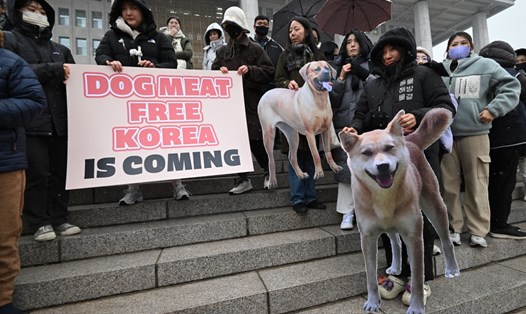 Các nhà hoạt động vì quyền động vật giương biểu ngữ chào mừng dự luật cấm buôn bán thịt chó tại Hàn Quốc. Ảnh: AFP