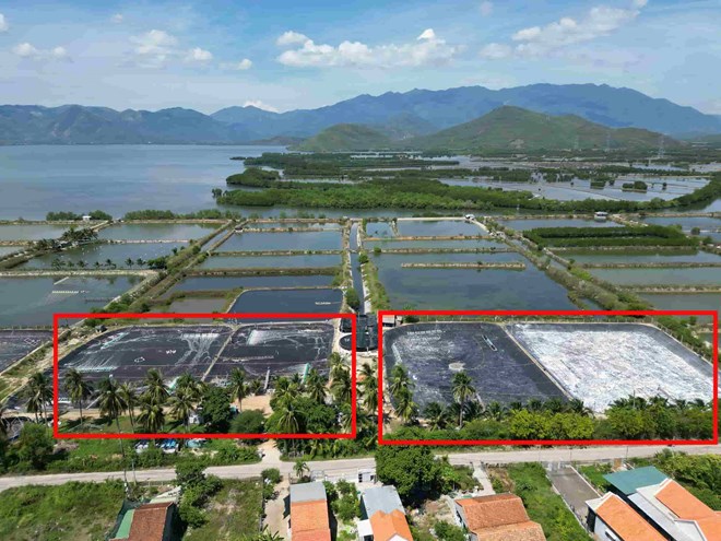 Người trúng đấu giá và người không trúng đấu giá đều gửi đơn khiếu nại các lô đất tại xã Ninh Phú, thị xã Ninh Hòa, Khánh Hòa. Ảnh: Hữu Long