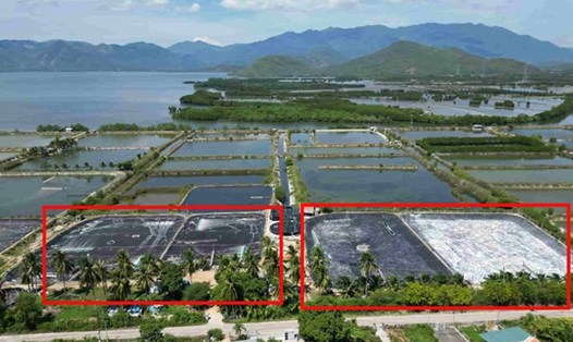 Người trúng đấu giá và người không trúng đấu giá đều gửi đơn khiếu nại các lô đất tại xã Ninh Phú, thị xã Ninh Hòa, Khánh Hòa. Ảnh: Hữu Long