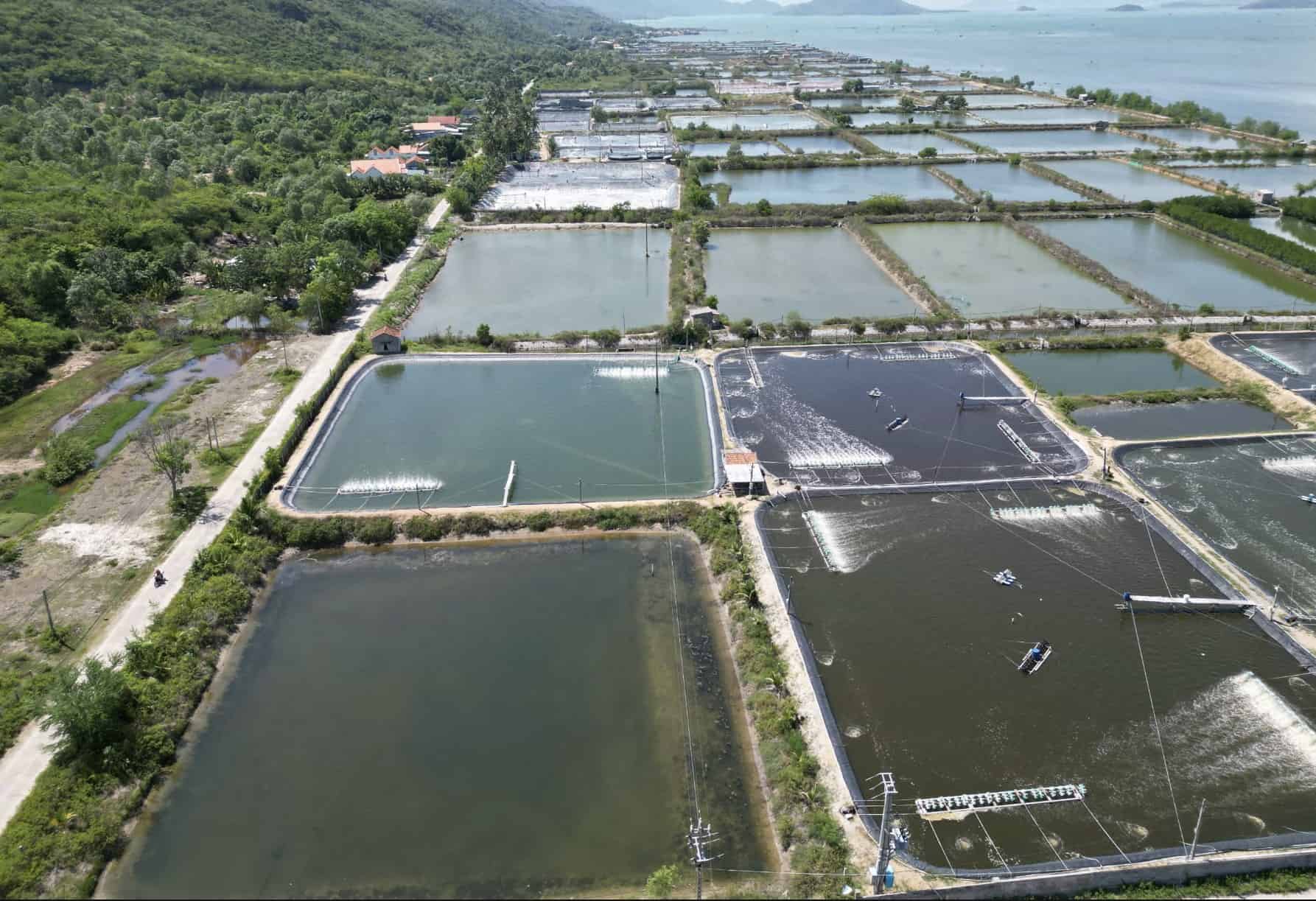 Việc thu hồi đất để đấu giá giúp địa phương có thêm nguồn thu cho ngân sách nhà nước. Ảnh:  Hữu Long