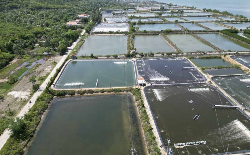 Land recovery for auction helps localities have more revenue for the state budget. Photo: Huu Long