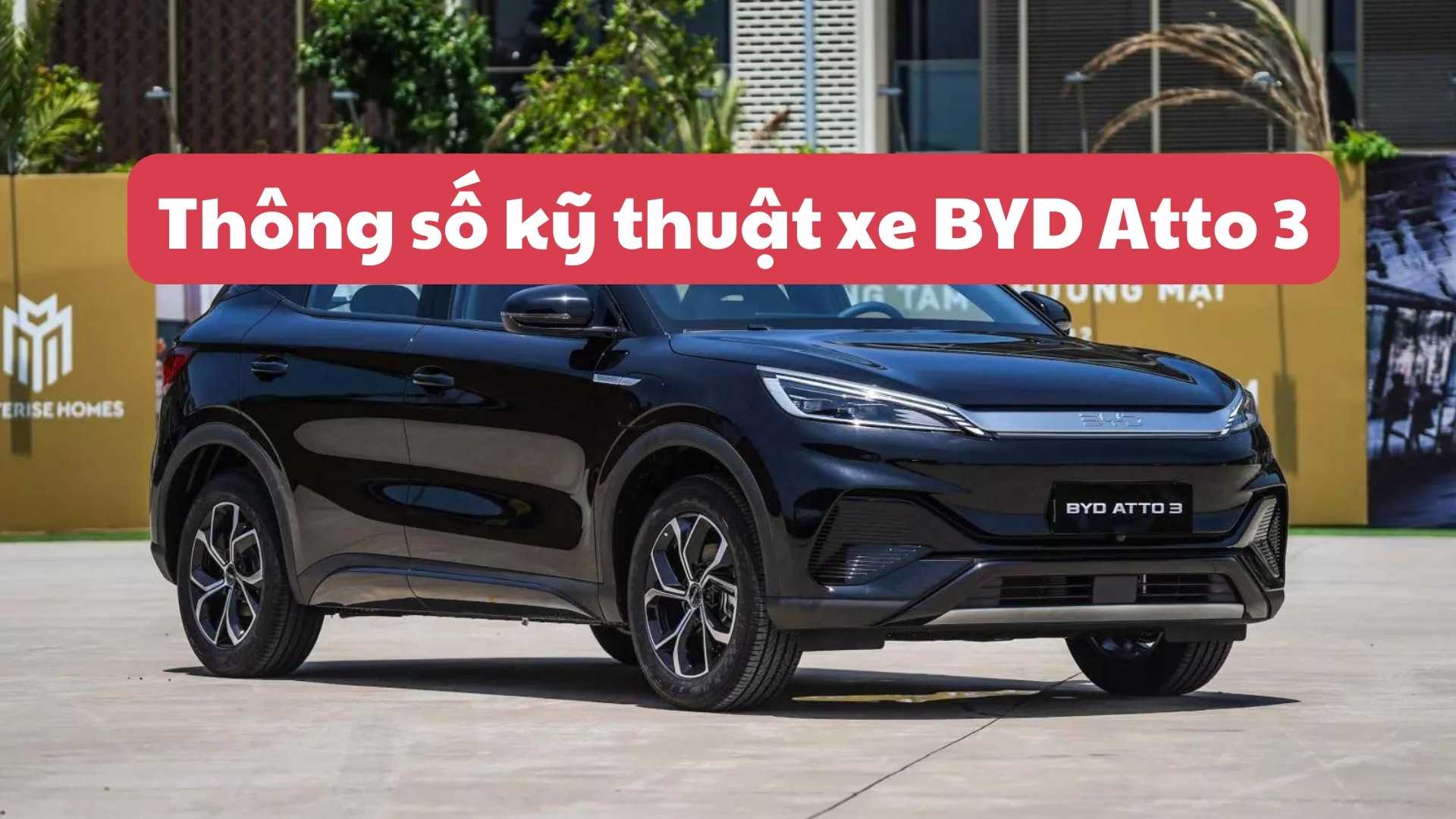 BYD Atto 3 car specifications. Graphics: Dinh Dinh