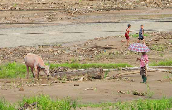 Nhiều gia đình tại vùng lũ Mường Pồn, huyện Điện Biên, tỉnh Điện Biên được Ngân hàng Chính sách xã hội xóa nợ, khoanh nợ và cho vay lại để phục hồi sản xuất sau lũ quét. Ảnh: Thanh Bình