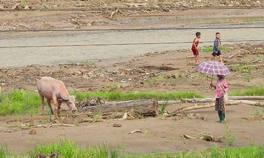 Nhiều gia đình tại vùng lũ Mường Pồn, huyện Điện Biên, tỉnh Điện Biên được Ngân hàng Chính sách xã hội xóa nợ, khoanh nợ và cho vay lại để phục hồi sản xuất sau lũ quét. Ảnh: Thanh Bình