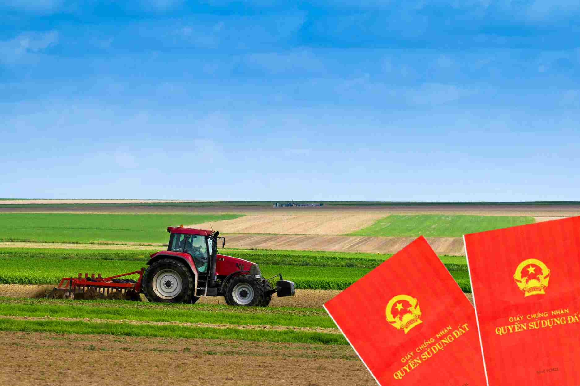 Limits on recognition of the right to use self-reclaimed agricultural land in Hanoi